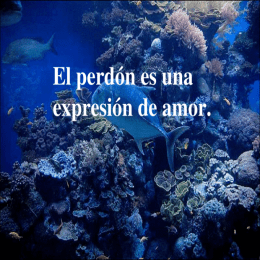 El Perdon - Entertainment & Humor