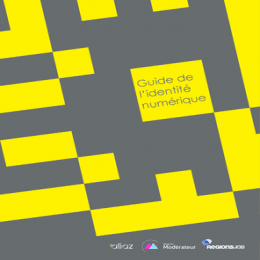 Guide de l'identité numérique aliaz - Design