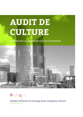 Comment faire un audit de culture d'entreprise ?